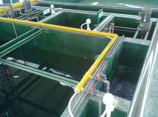 電鍍廢水處理工程